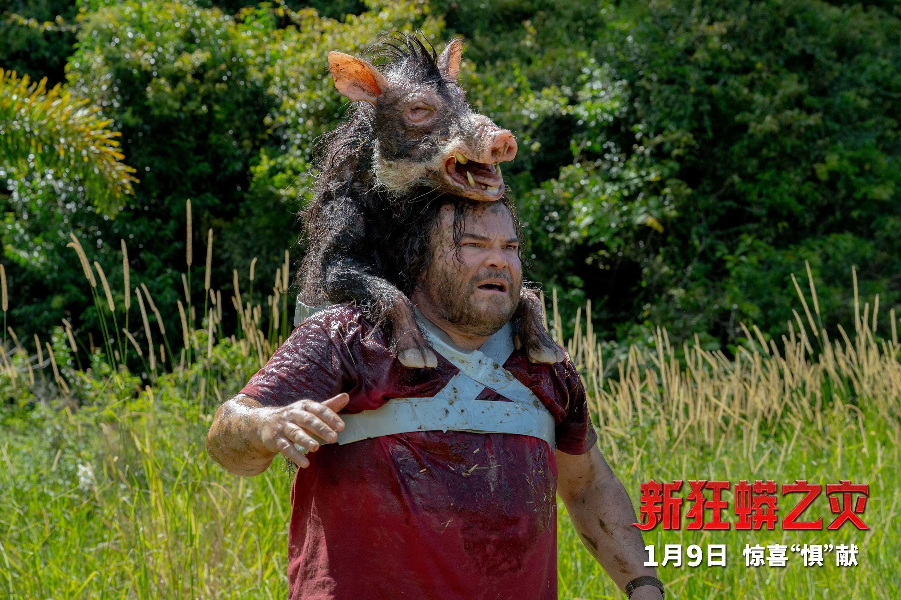 《新狂蟒之灾》百度云网盘资源下载【1080P超高清】阿里云盘