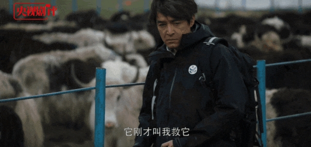 《奇迹》百度云(免费分享)百度云网盘【1280P高清免费】阿里云盘资源下载